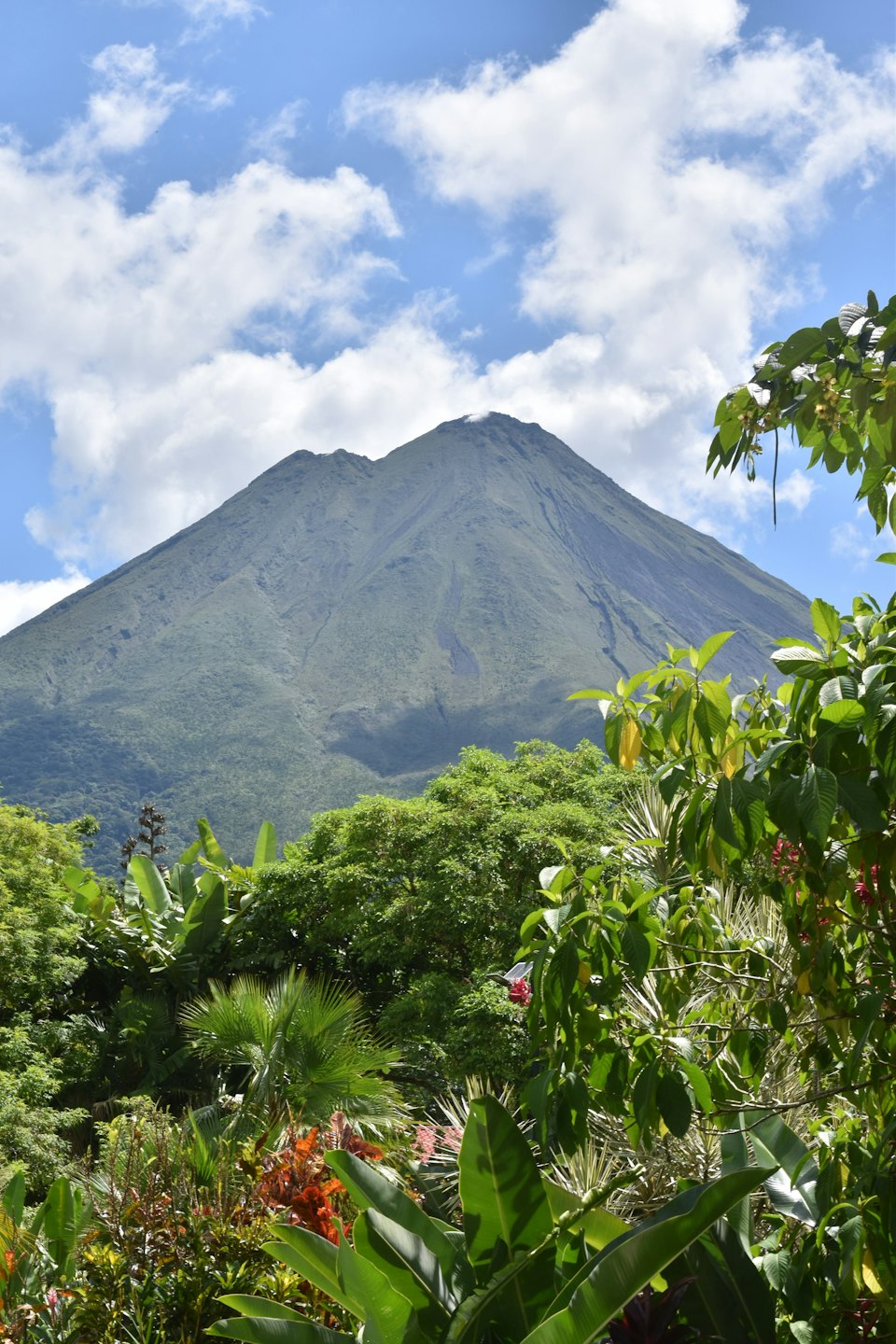 Un gran volcán cónico se eleva detrás de una densa vegetación tropical.
